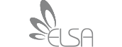 Elsa Fırça Logo Gri
