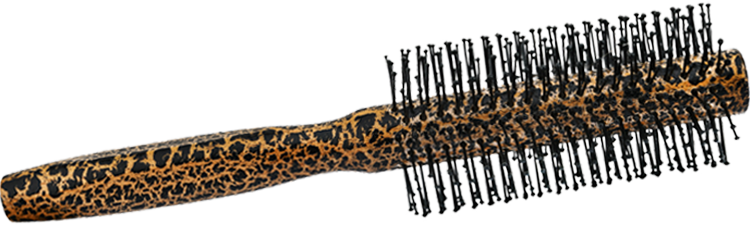 Cobra Series Hair Brush